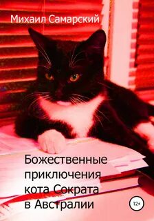 Книга приключение кота сократа