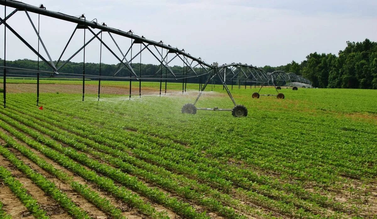 Агрономическая мелиорация (агромелиорация). Калининградская область осушительных мелиоративных каналов. Гидротехническая мелиорация. Мелиоративные объекты это. Мелиорация земель и почв.