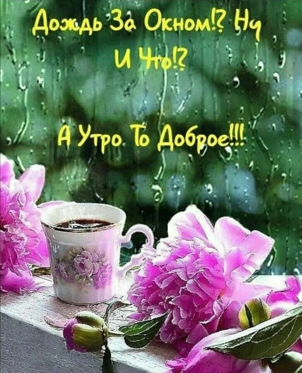 Доброе утро несмотря на дождь. Доброе дождливое утро. доброе дождлтвого утро. доброе утро дождь. открытки с добрым дождливым утром.