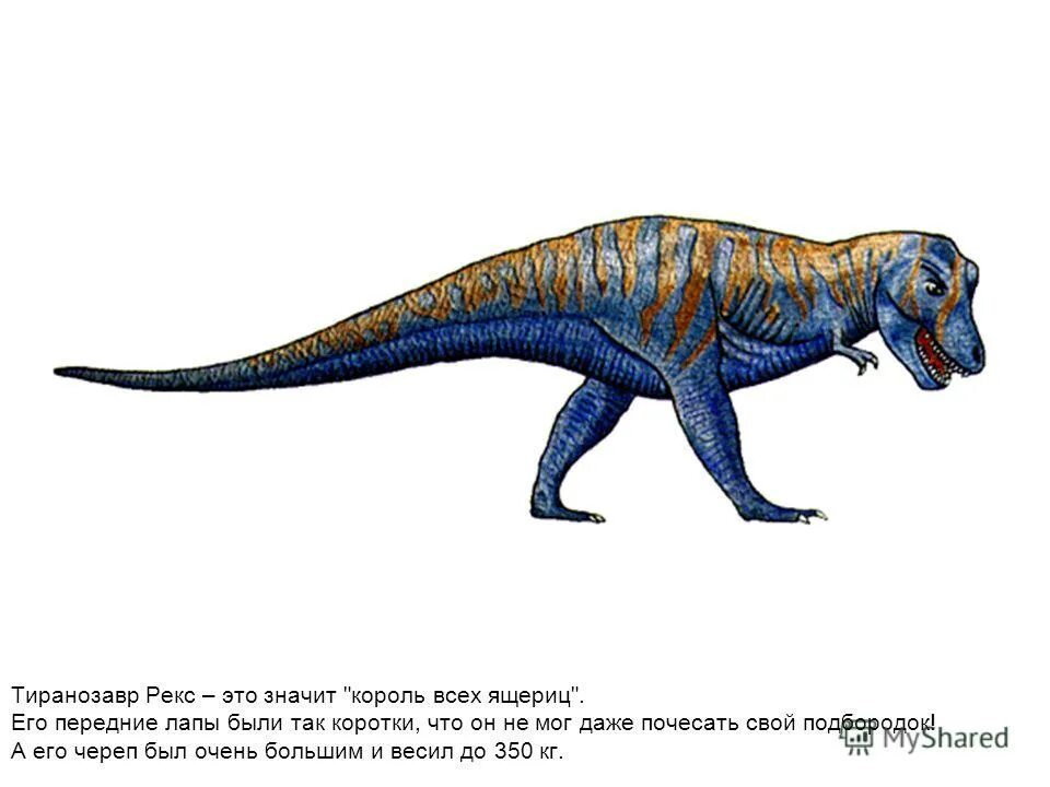 тираннозавр рекс описание для детей 1. сколько весит тираннозавр рекс. сколько весил тиранозавр. дейнохейрус динозавр. сколько весил тиранозавр.