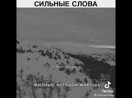 Жить жить тик ток