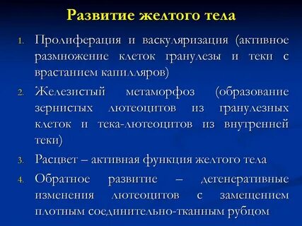 Васкуляризация желтого тела
