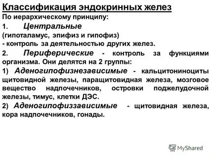Центральные эндокринные органы гистология