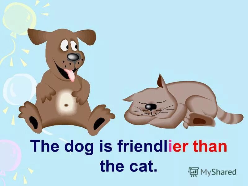 джон фишер зоопсихолог. My friend am dog. Have you got a dog ответ. сочинение my friend. My friend am dog.