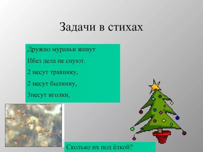 Реши задачу на елке