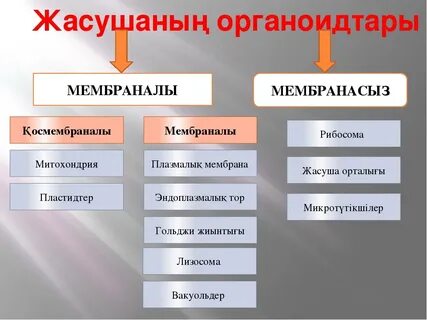 Diamond foxxx порно актриса фотосуреті