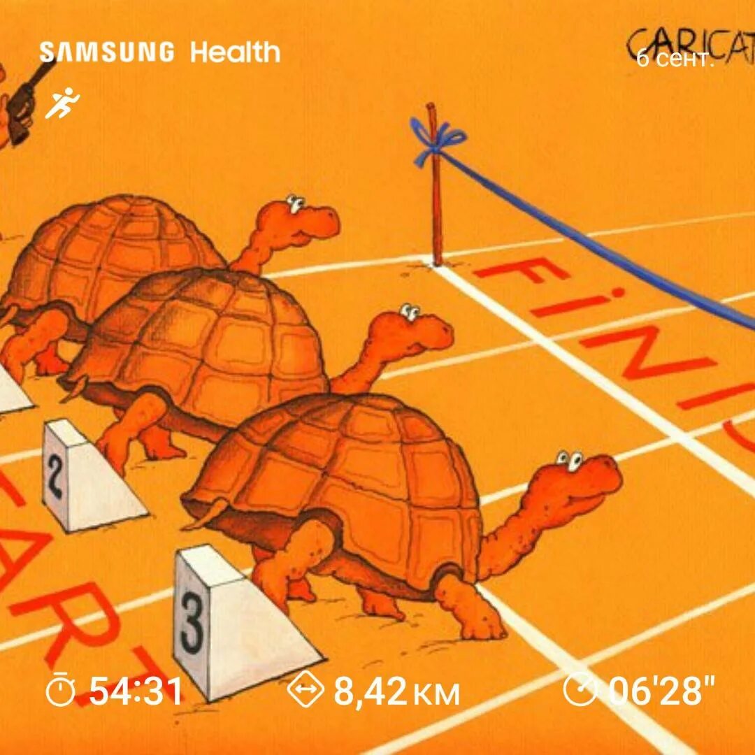 Не дойдя до финиша до старта. Дойти до финиша. Спортсмен на финише. Gif бегуны на старте. Не дойдя до финиша до старта.