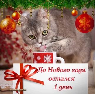 Сколько осталось дней до 21 ноября 2024