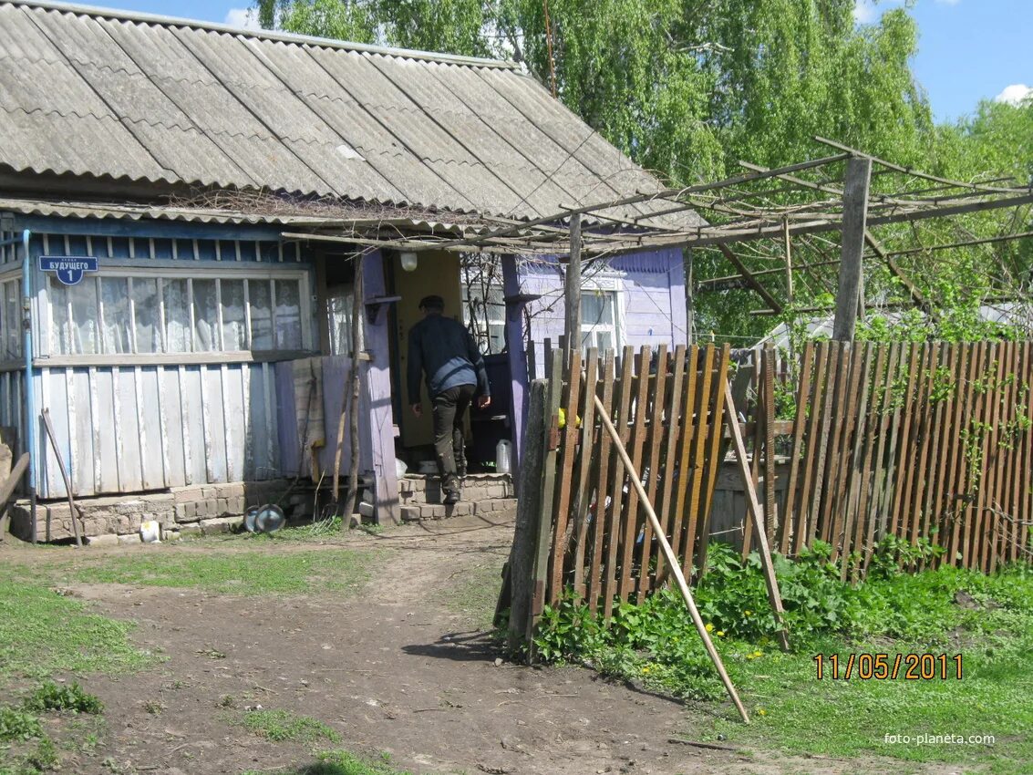 Брянская область деревня добрик. Погода добрик. Погода добрик. Брянская область деревня добрик. Погода добрик.