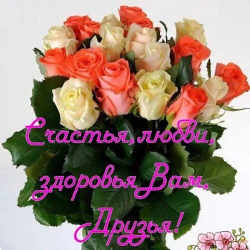 Здоровья и счастья родным и близким. Открытки душевного тепла и здоровья. Открытки. С днем рождения, счастья радости добра. Добрые пожелания.