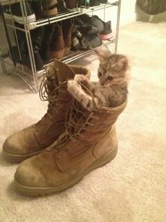 Коты сапог обувь