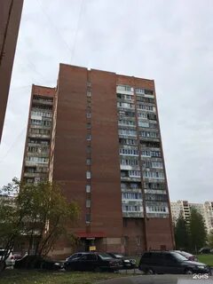 Проспект энтузиастов санкт петербург
