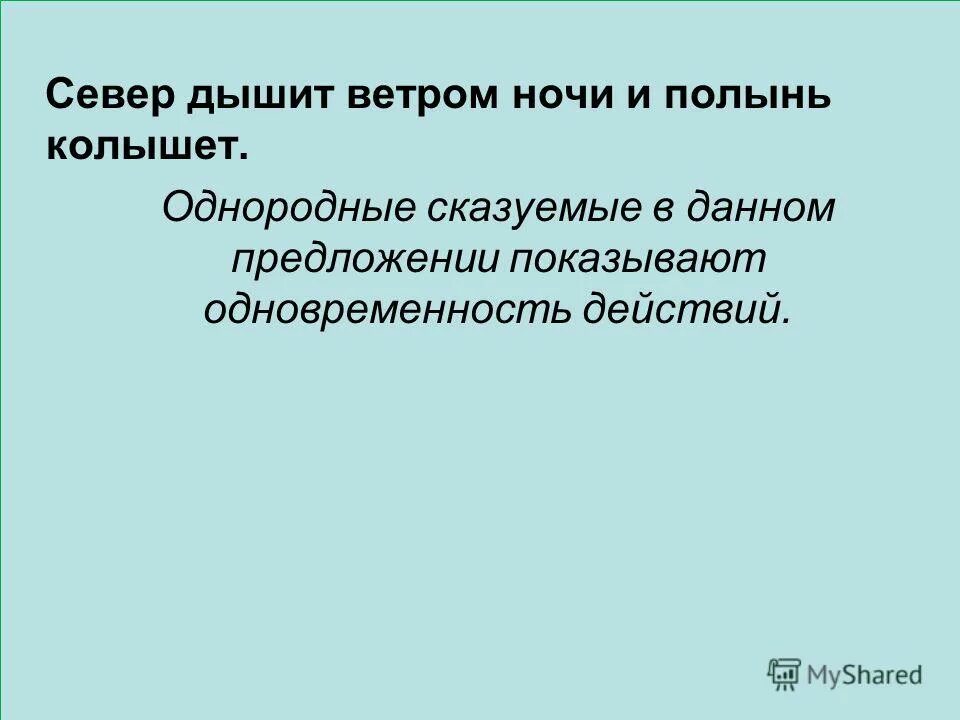 Полынь горькая (artemisia absinthium). Полынь степная чернобыльник. Полая вода сошла и река струилась узеньким ручейком. Полынь обыкновенная (чернобыльник). Емшан полынь.