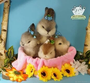 Зайка 2018