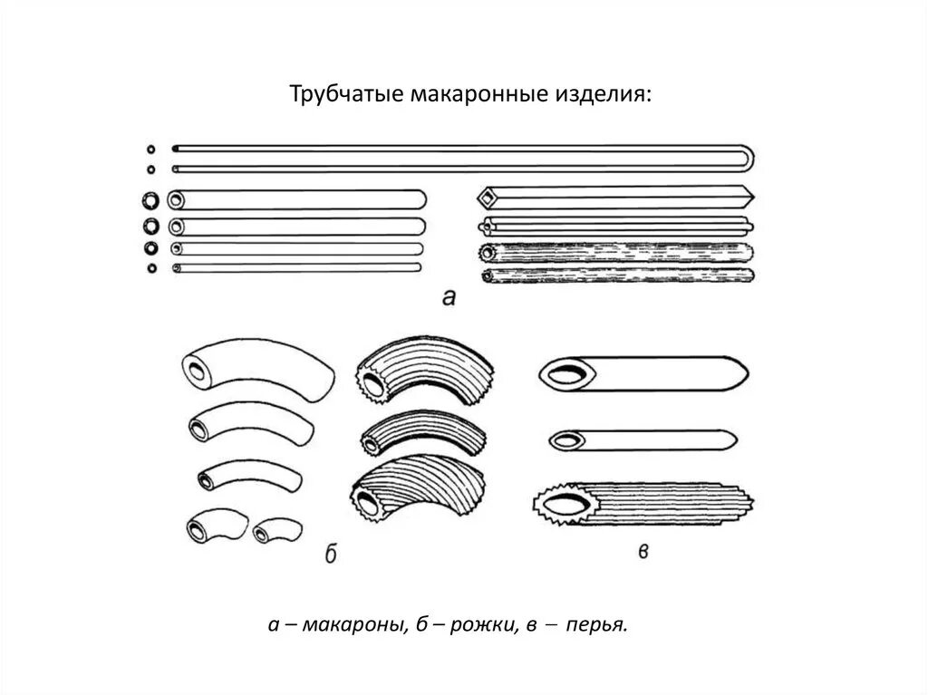 Подтипы трубчатых макаронных изделий. Виды макаронных изделий трубчатые лентообразные и фигурные. Макароны трубчатые нитевидные. Тип макаронных изделий вермишель а трубчатые б нитеобразные. Трубчатые изделия