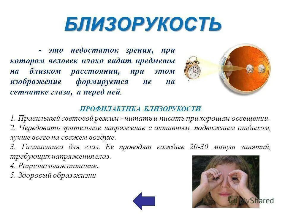 Тезисы зрения