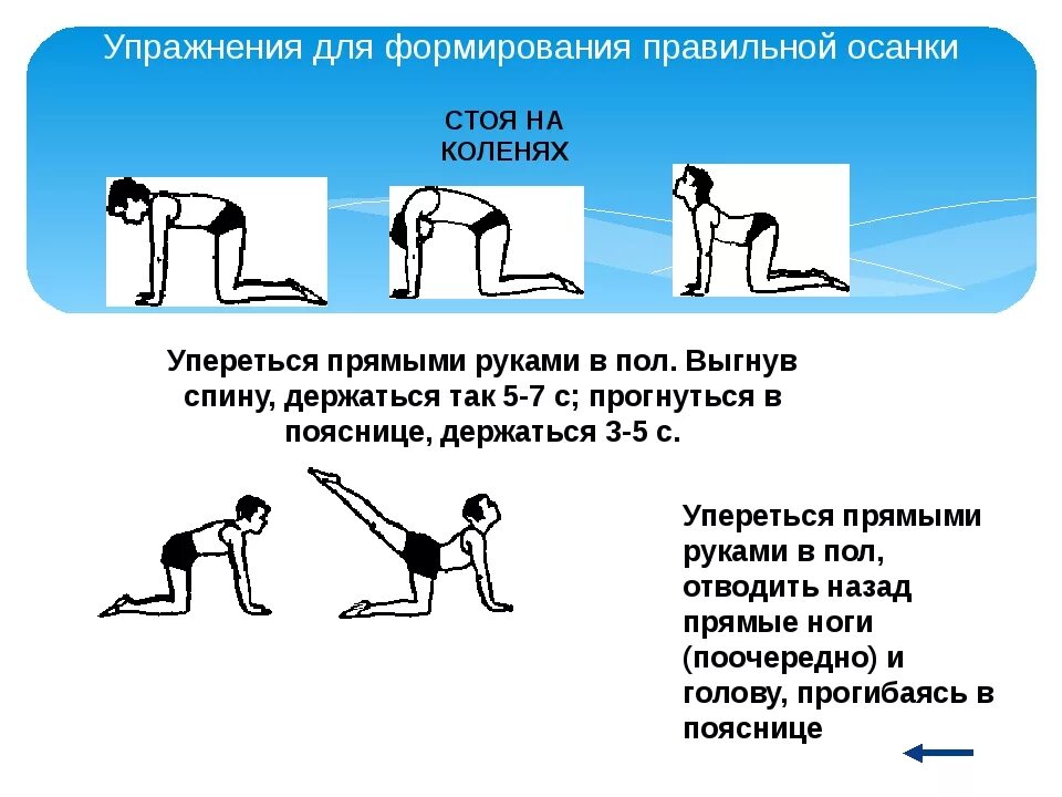 Комплекс упражнений для формирования правильной. Упражнения для формирования правильной осанки. комплекс упражнений для формирования правильной осанки. упражнения для формирования поавильной осадки. выполнять комплекс упражнений для формирования правильной осанки..