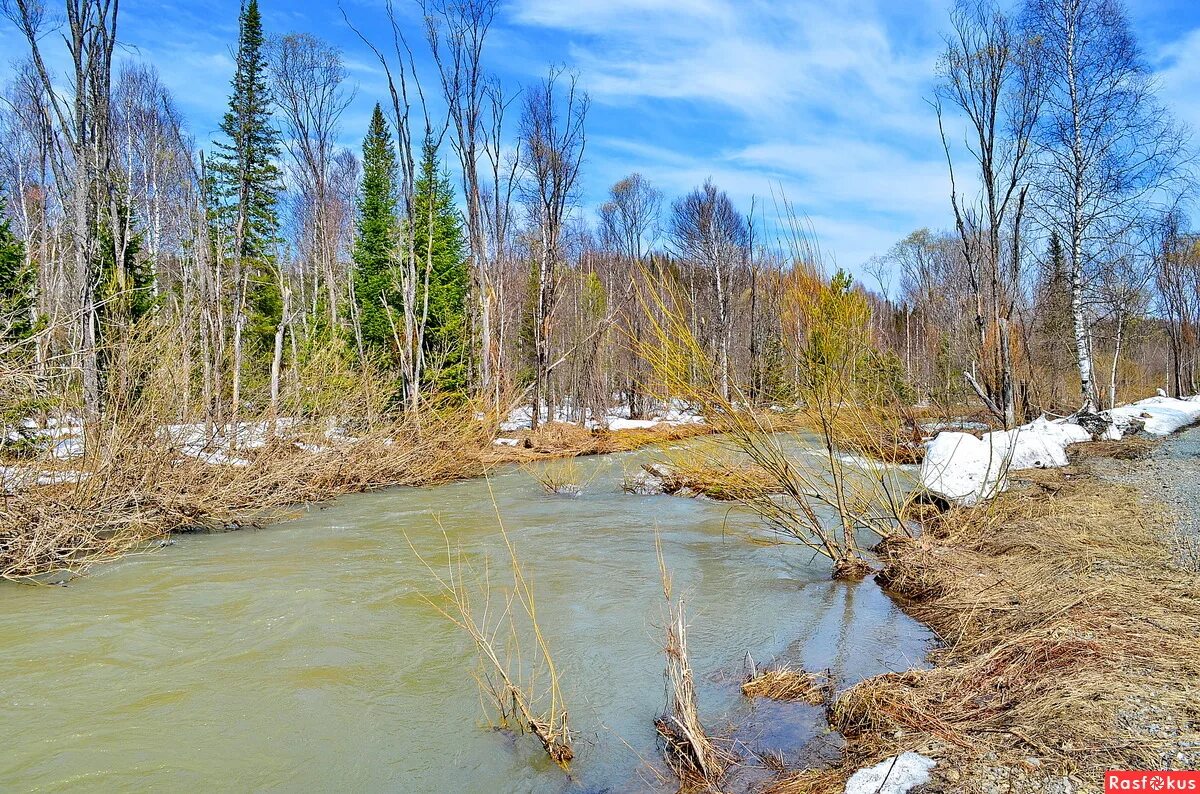 Каз река. Казуха река. Фото природы Кузбасса весной.