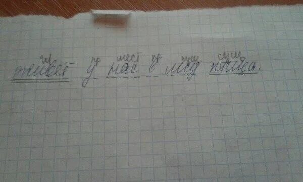 Разбор под цифрой 1 лед. Живет у нас в лесу птица синтаксический разбор. Разбор предложения живёт у нас в лесу птица.