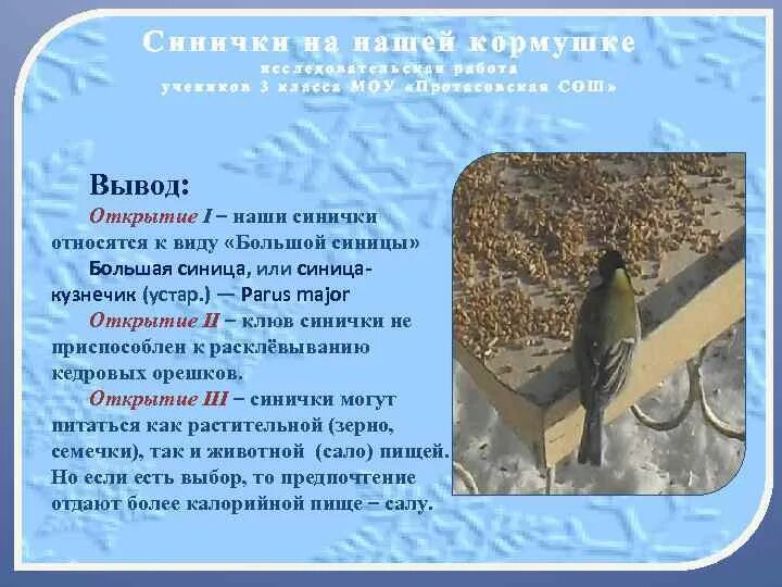 Изложение 3 класс по русскому языку синичка. Почему плачет синичка. диктант синички 3 класс. изложение синичка 3 класс.