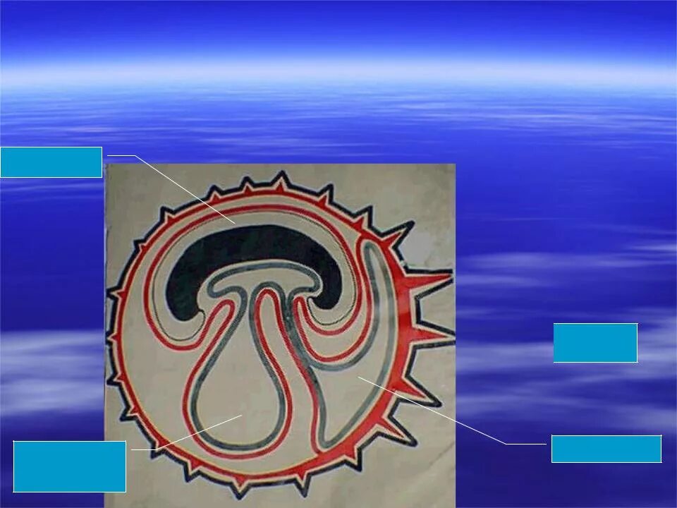 Функции хориона амниона. Зародышевые оболочки и провизорные органы у человека. Зародышевые оболочки хорион. Желточный мешок функции у эмбриона. Зародышевые оболочки и провизорные органы у человека.