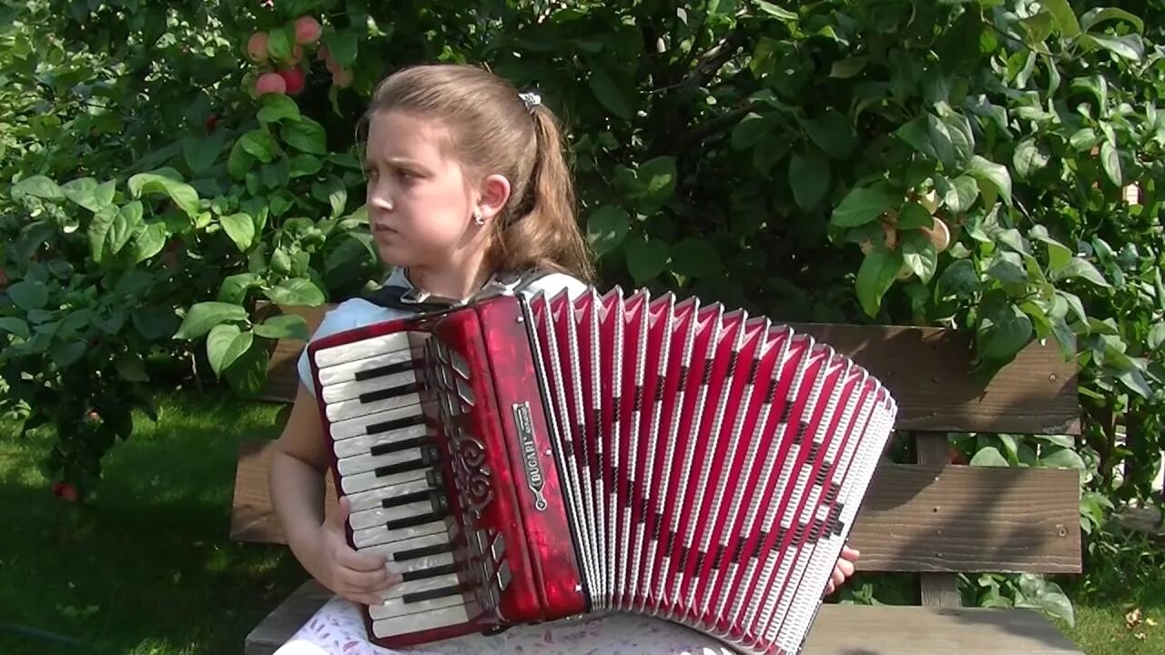 Видео бает. Аккордеон для детей. Девочка с аккордеоном. Маленькая девочка с аккордеоном.