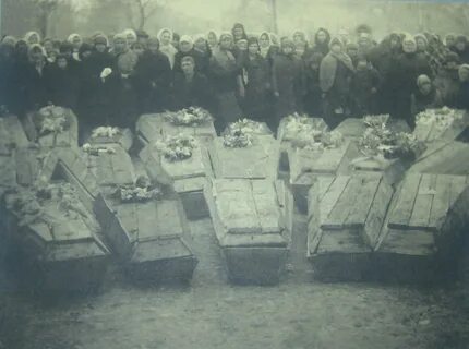 Молодая гвардия 5