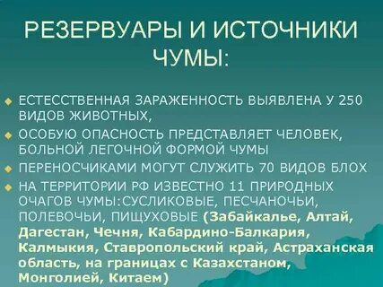 Источник чумы