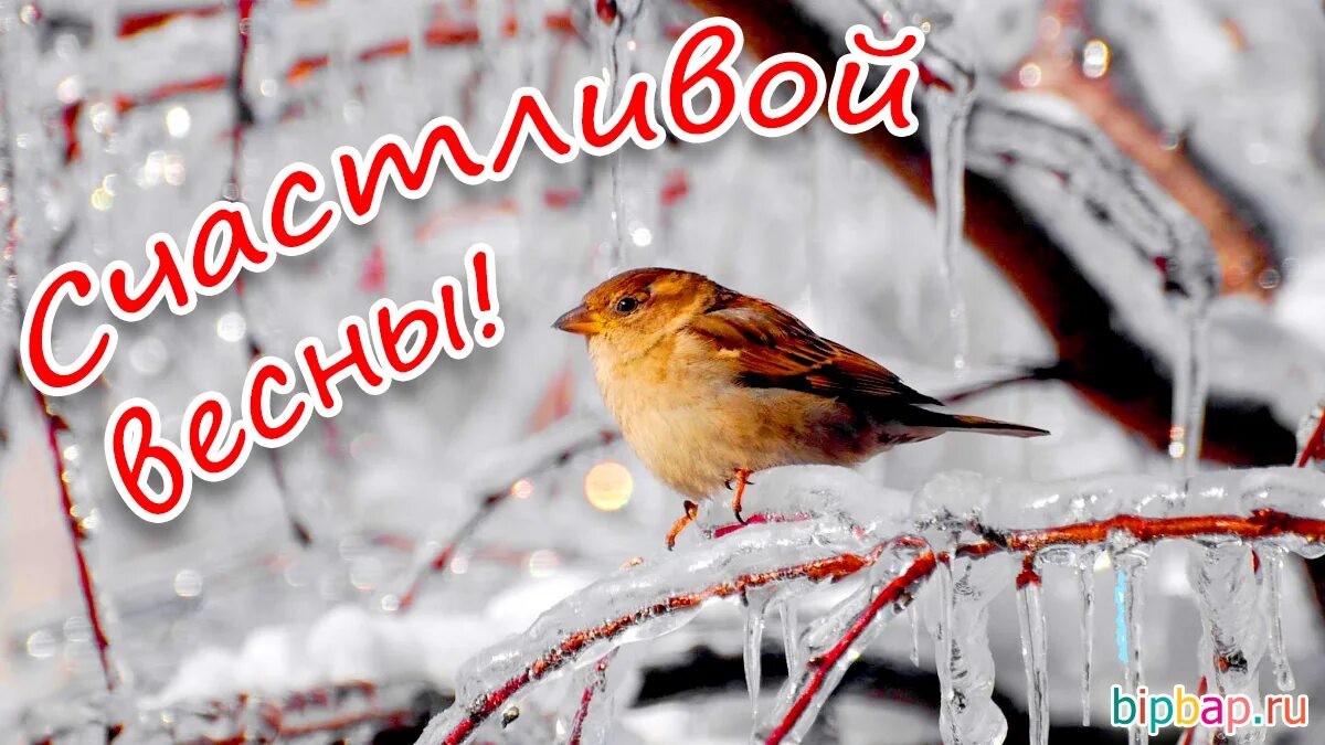 С последними днями уходящего февраля. С последним днем зимы. Поздравление с последним днем зимы. Открытки с последним днем зимы. Последний день зимы картинки.