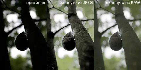 Raw разрешение