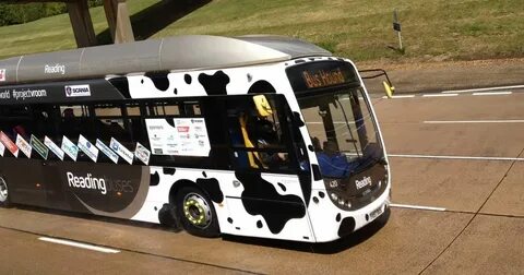Bus ground