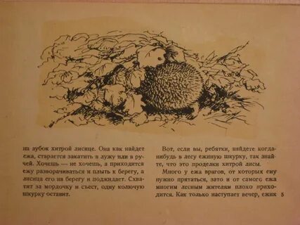 Отрывок скребицкого