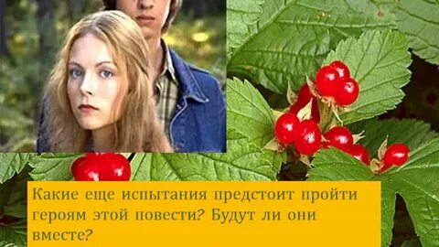 Костяника песня