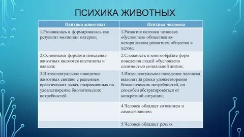 Психика животных и человека