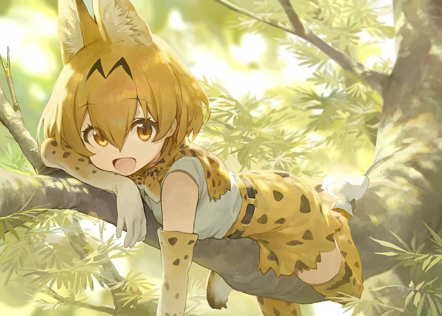 Kemono friends owl арт. Kemono friends вики. Kemono friends горничная. Kemono post. Сервал kemono.