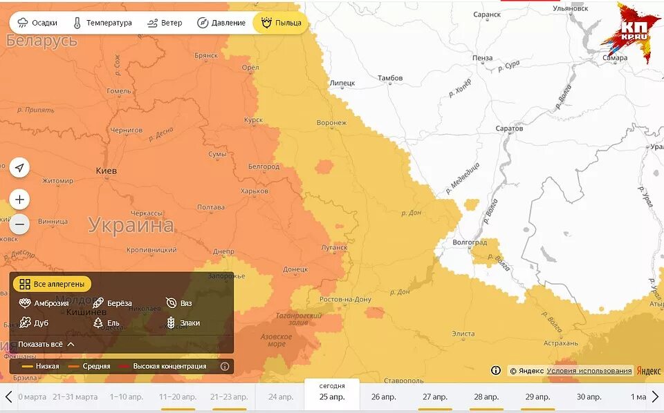 Карта пыльцы амброзии. Карта распространения березовой пыльцы. Карта пыльцы березы