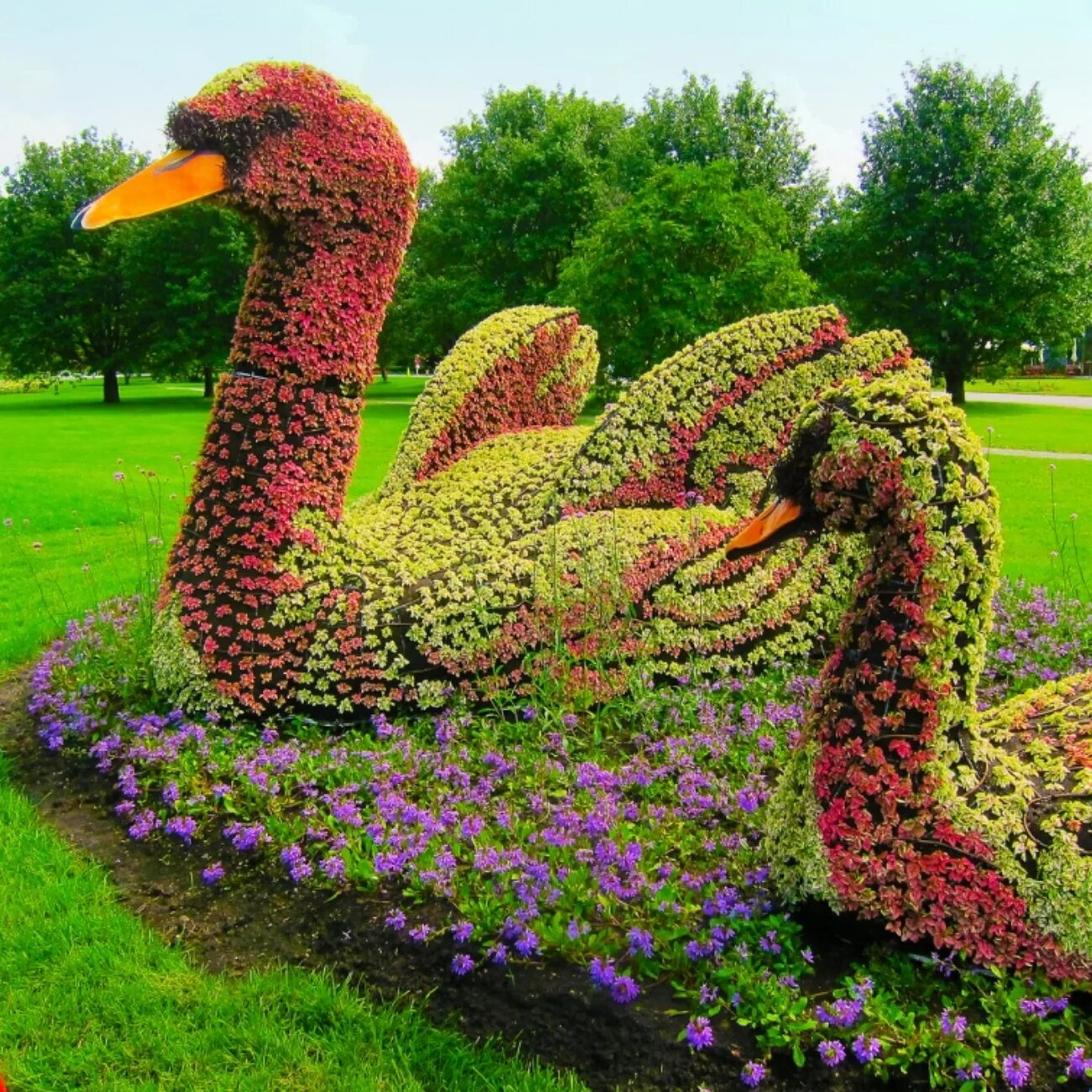 Разнообразие в саду