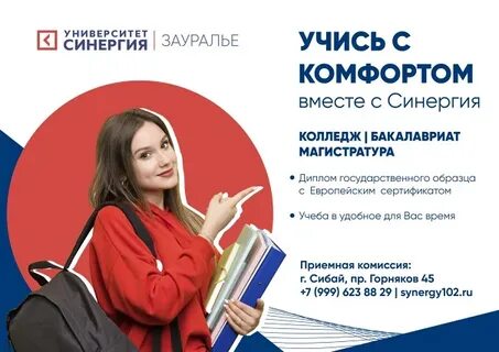 Синергия магистратура