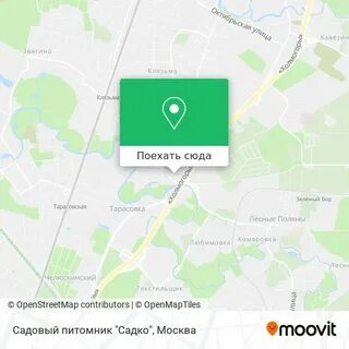 Садко пушкино