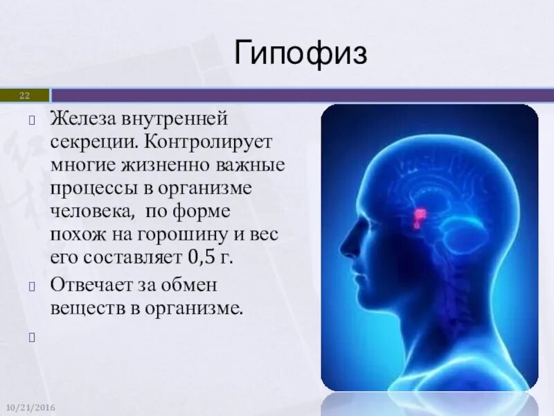 Гипофиз биология 8 класс. Гипофиз презентация. Гипофиз это железа. Гипофиз железа внутренней секреции.