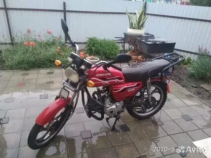Красный орион