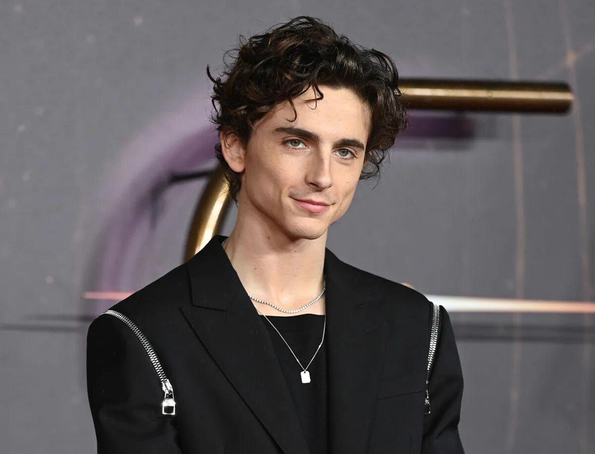 Тимоти галаме. Тимоти галаме. Тимоти шаламе 2019. Тимоти шаламе 2020. Тимоти шаламе.