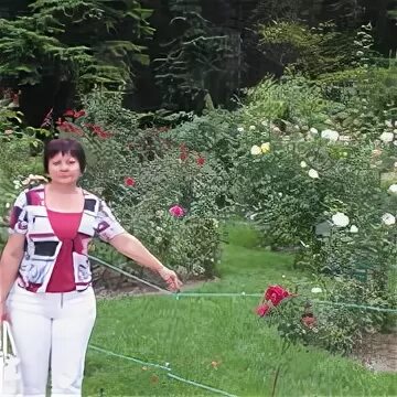 Ревякина орел. Ревякина орел. Ревякина орел. Ревякина орел. Ревякина орел.