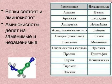 Из 20 видов аминокислот состоят