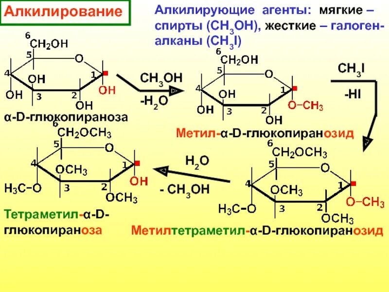 Глюкопираноза алкилирование. О-метил Альфа d глюкопираноза. 2,3,4,6-Тетраметил-α-d-глюкопираноза. Бета метил d глюкопиранозид. Гидролизу подвергается глюкоза рибоза фруктоза