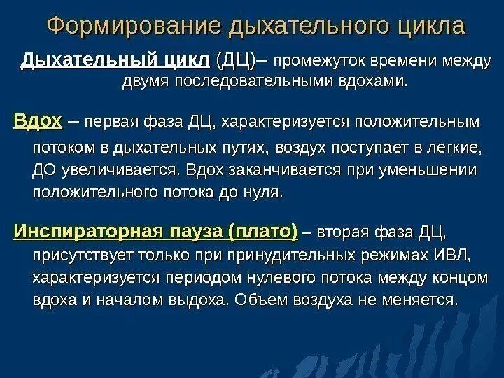 Длительность фазы выдоха. Длительность фазы выдоха