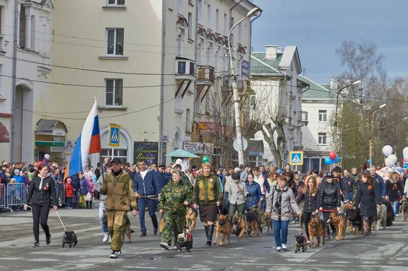 Новости краснотурьинска сегодня свежие