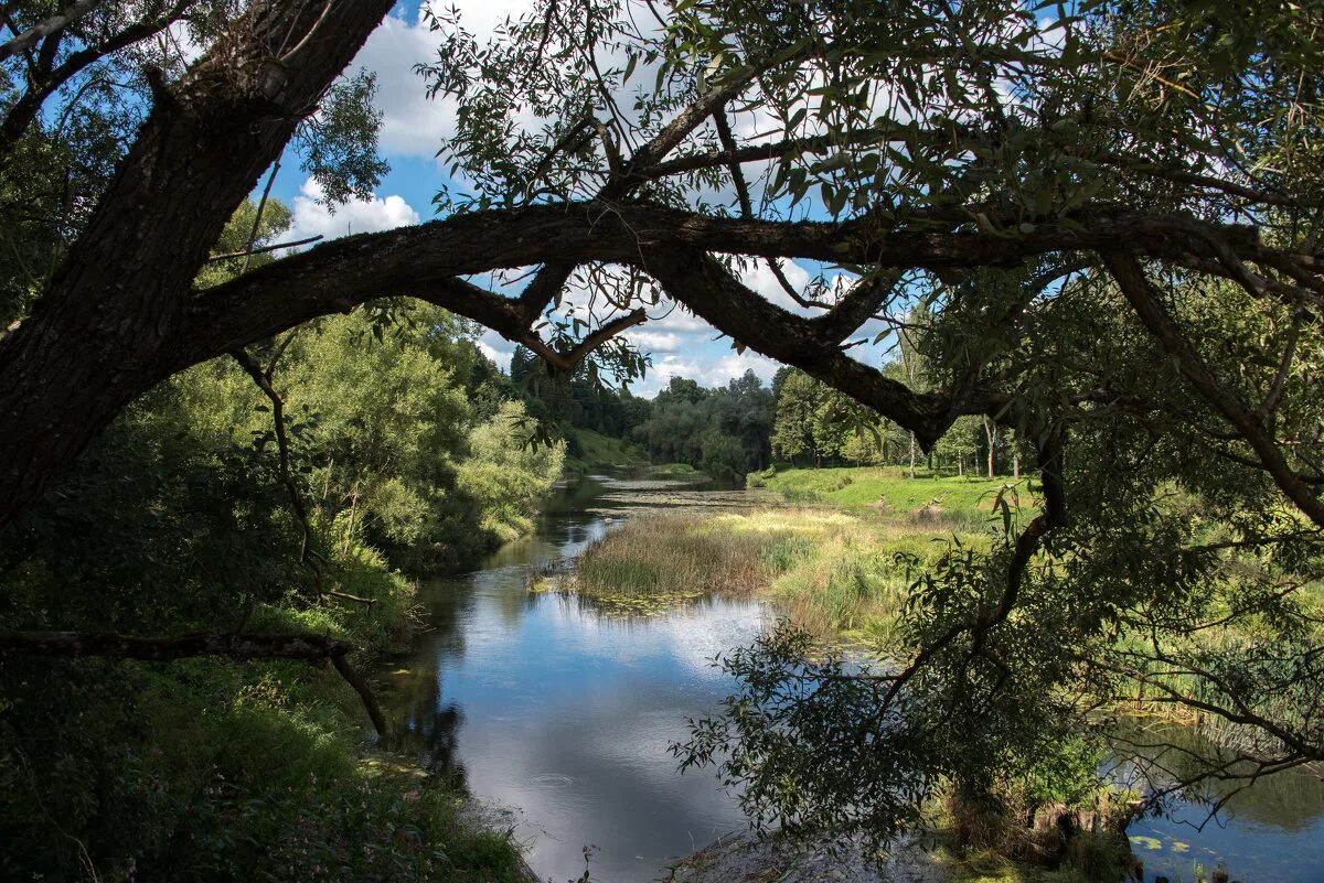 река протва калужская область. протвино река протва. река протва калужская. река протва калужская область. река протва кременки.