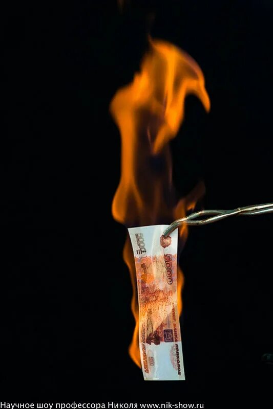 Правильный поджог. Горящие пятитысячные купюры. Сжигание мусора мчс. Костер и штраф. Выжигание сухой растительности.