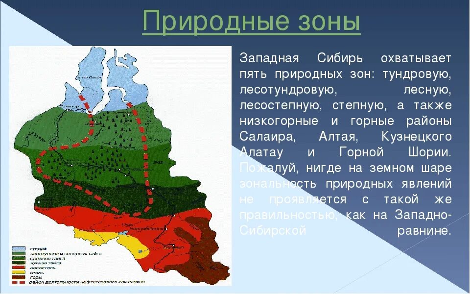 Природные зоны западной и восточной сибири